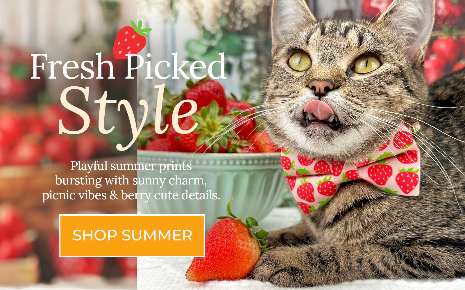 Unleash Your Cat's Unique Style